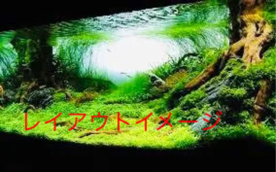 ボーナス軽大水槽Set120×45×45 コトブキ浄化槽 サンゴ 大型魚 アカメ