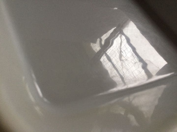 白磁　フランス　1900年代初め