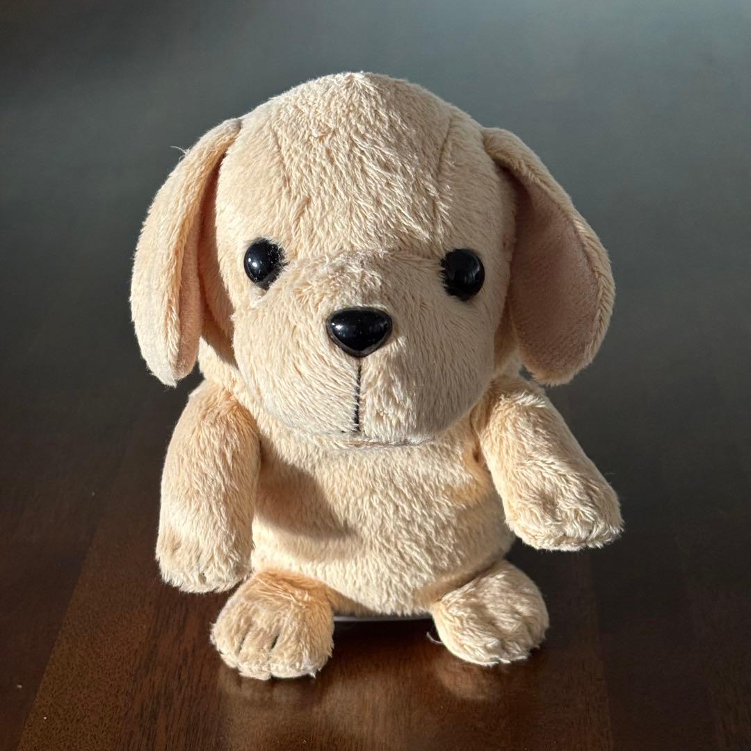 こえマネわんちゃん 楽しくおしゃべり ぬいぐるみ