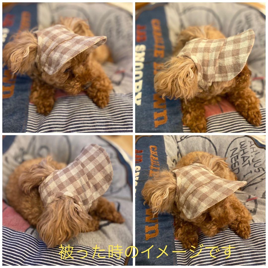 犬用帽子