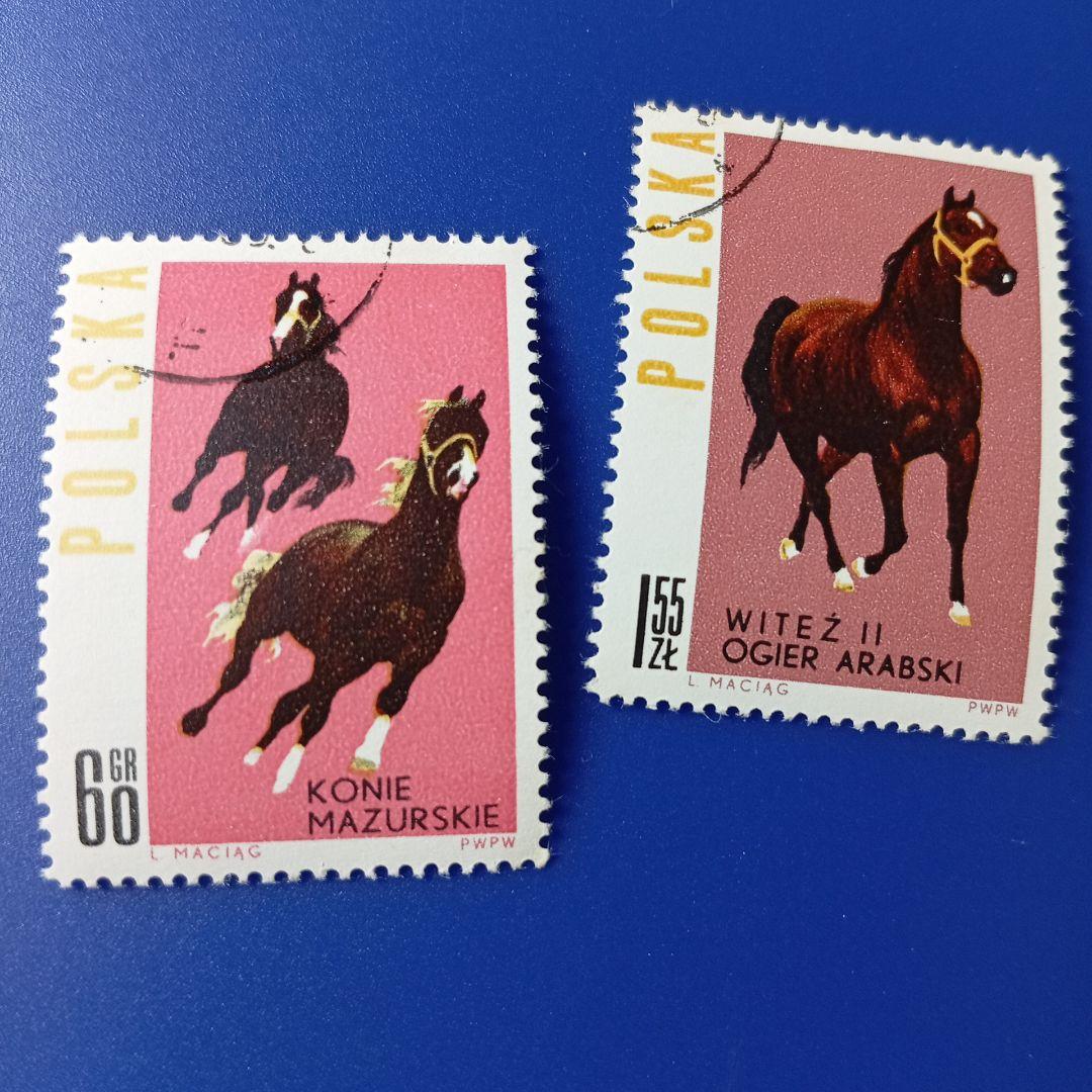 3696 外国切手 国々 馬 シリーズ 3セット 未使用