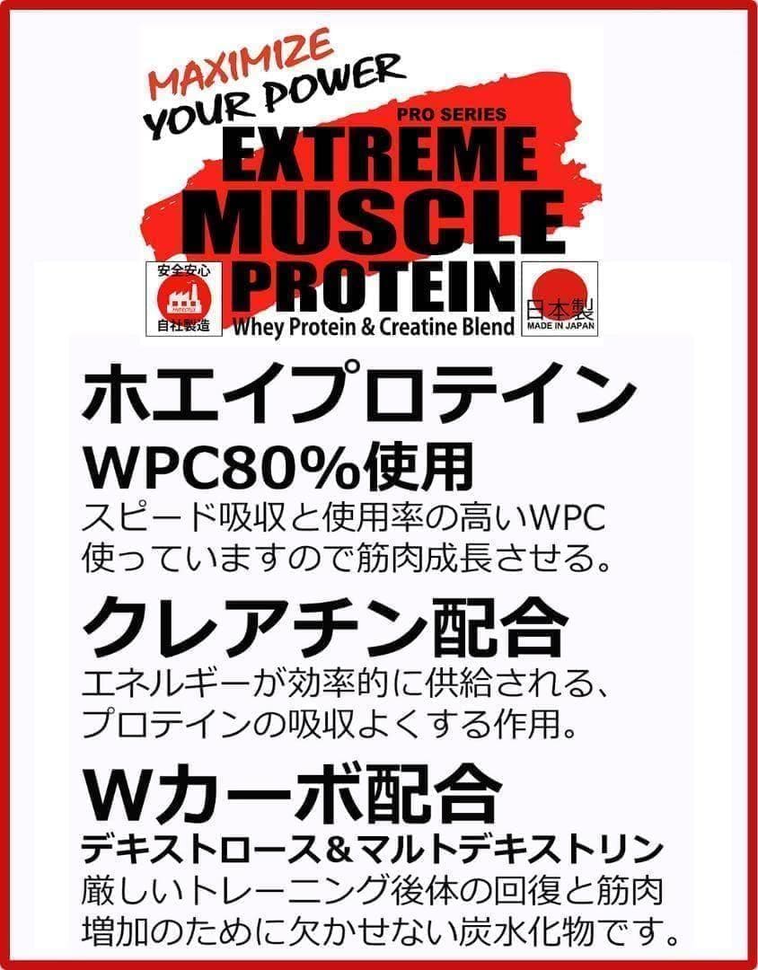 国産プロテイン10kg激安 マイプロテック プロテイン チョコ味RG 送料無料