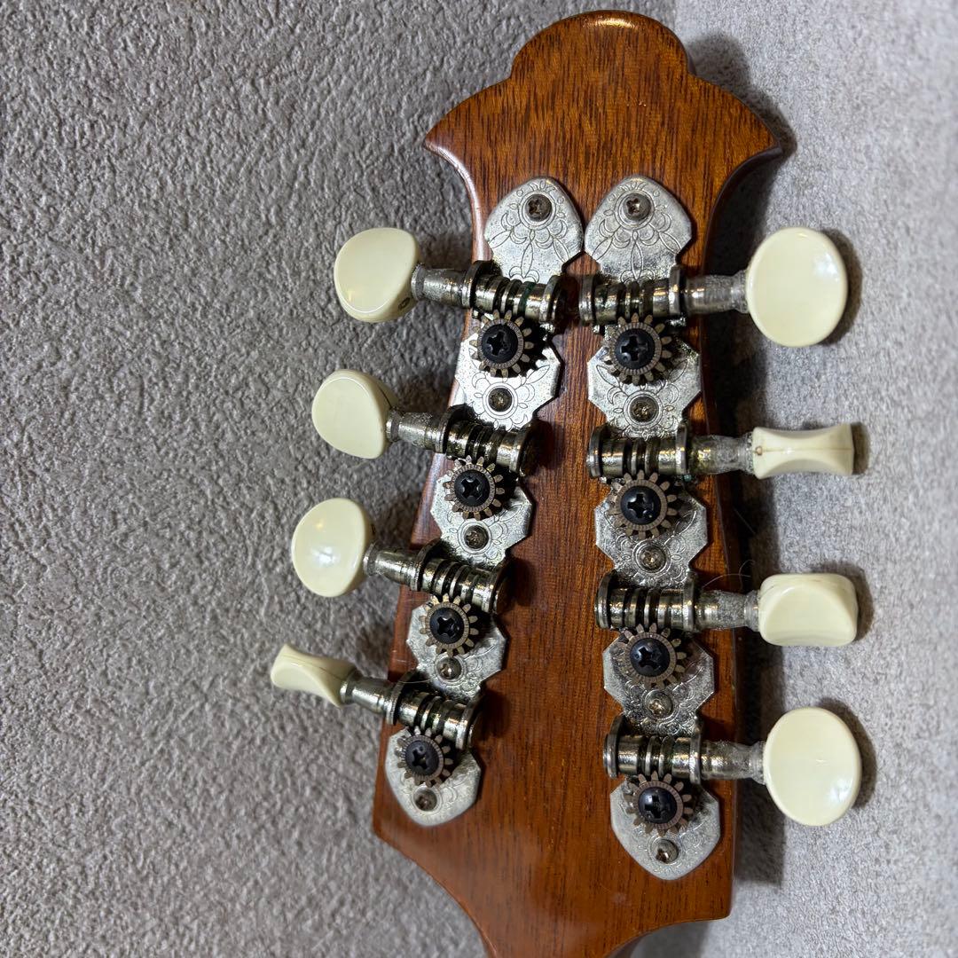 【希少】落合忠男 マンドリン M4 2000年 ハードケース ピック付