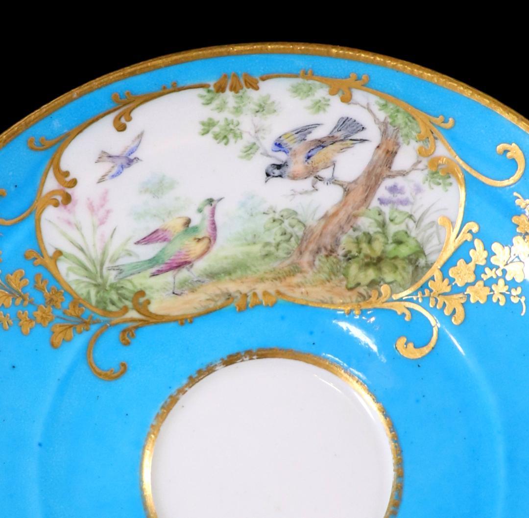 オールド・セーブル 美術館級 1764年 青地色絵金彩鳥図 カップ&ソーサー