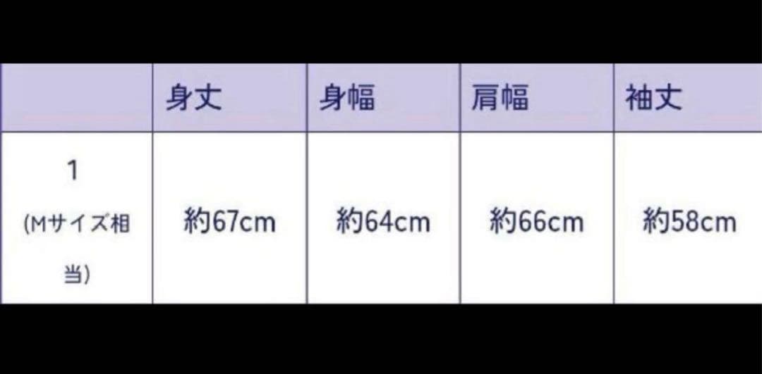 龍宮城 サイズ1 裏島 Hoodie パーカー