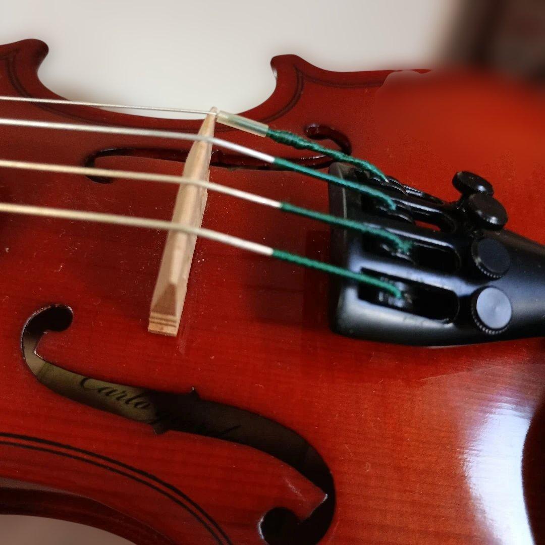 カルロジョルダーノ　バイオリン　1/16