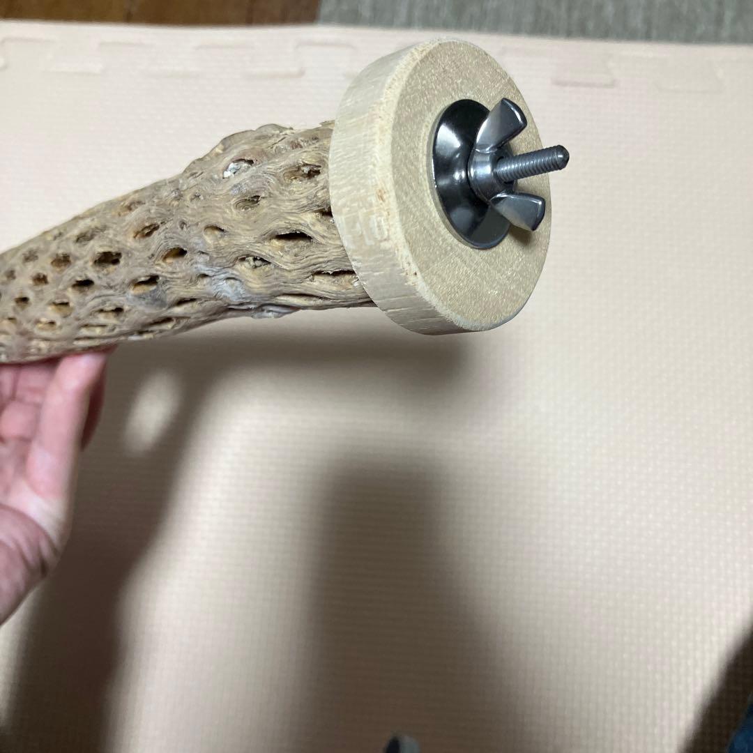 カクタスパーチの作成依頼・在庫確認・お問い合わせ専用ページ