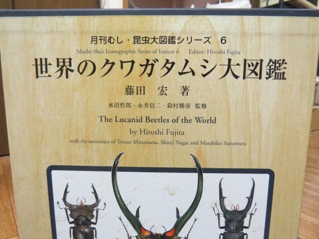 世界のクワガタ虫大図鑑　最終！！むし社　ビークワ　クワガタ