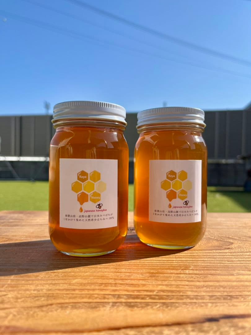 天然熟成2年　希少　日本ミツバチ 国産天然はちみつ100%600g(J1Y2箱)