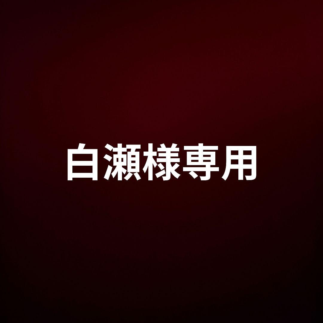 白瀬 鉄道模型 Nゲージ