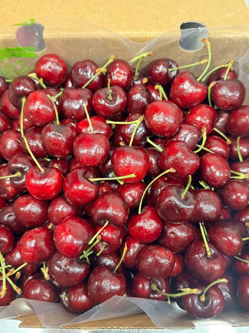 チリ産 チェリー　3JD 2.5kg
