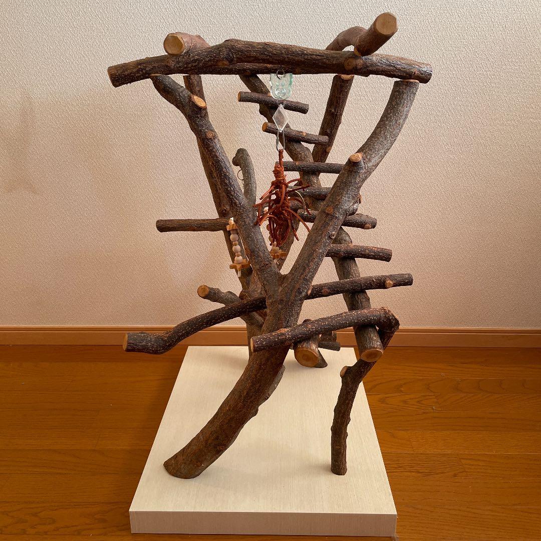 鳥さん用のアスレチックジム