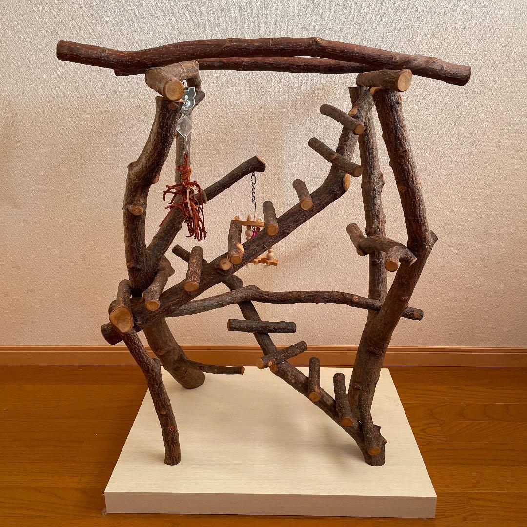 鳥さん用のアスレチックジム