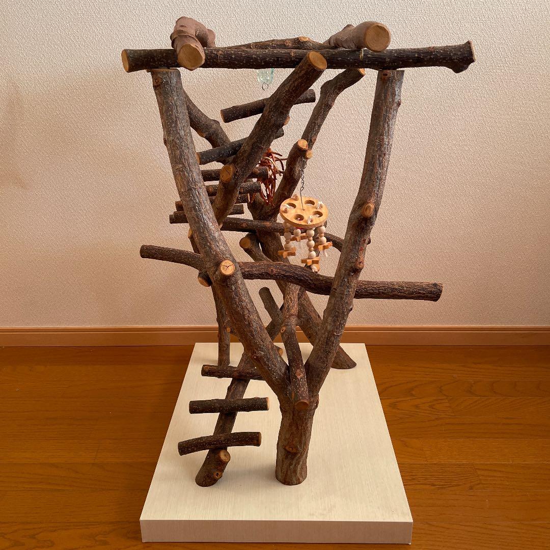 鳥さん用のアスレチックジム