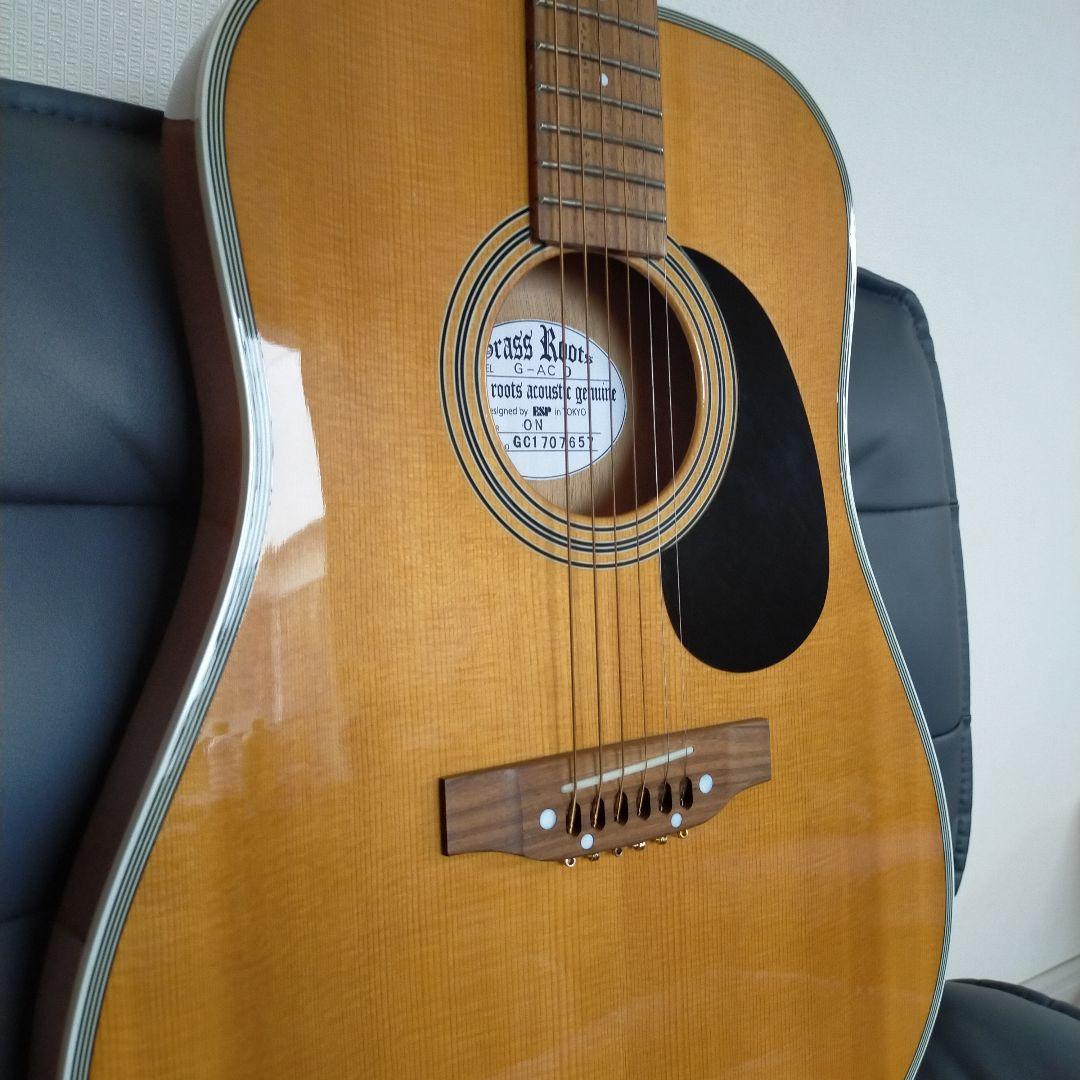 GrassRroots アコースティックギター G-AC-D 薄胴ドレッドノート