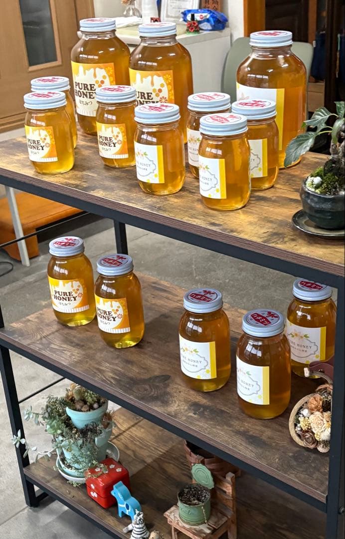 春の百花蜜　2400g✖️3本　国産蜂蜜　非加熱 生はちみつ