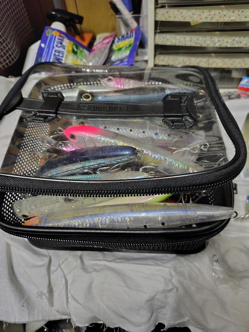 プラグ大量セット ロックショア フック、ケースまで