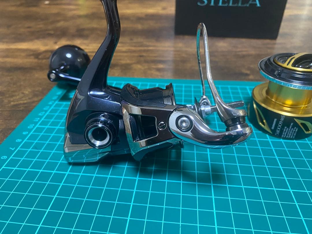 20 ステラ sw 6000pg