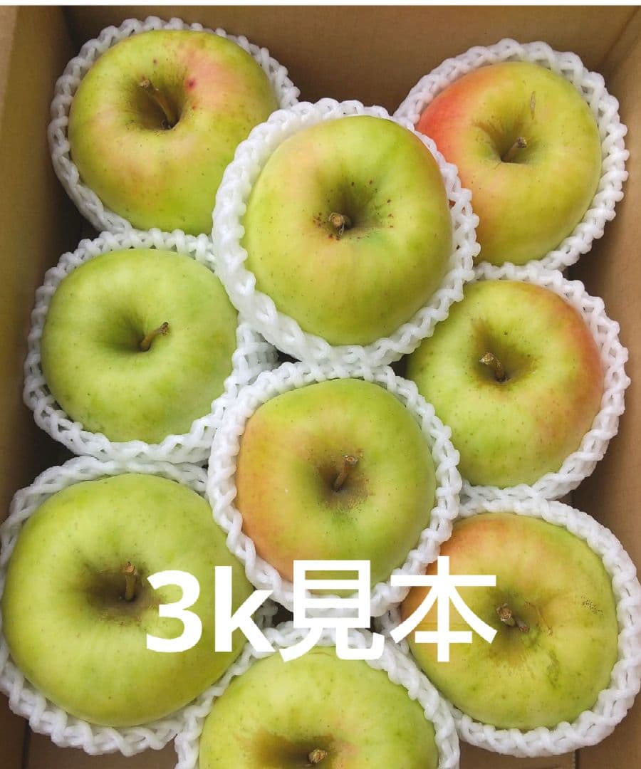 じぃじの美味しい林檎　ぐんま名月5k×2