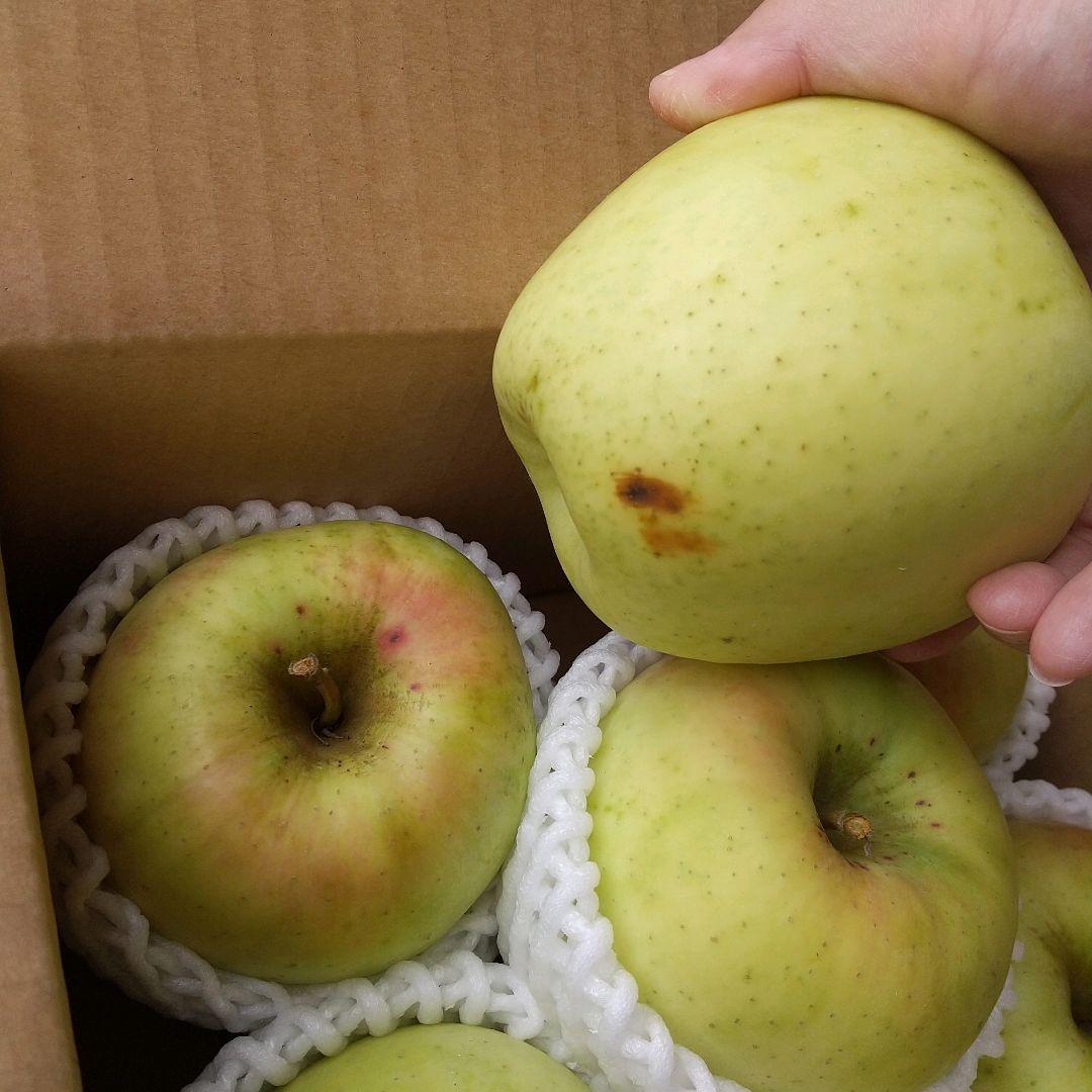 じぃじの美味しい林檎　ぐんま名月5k×2