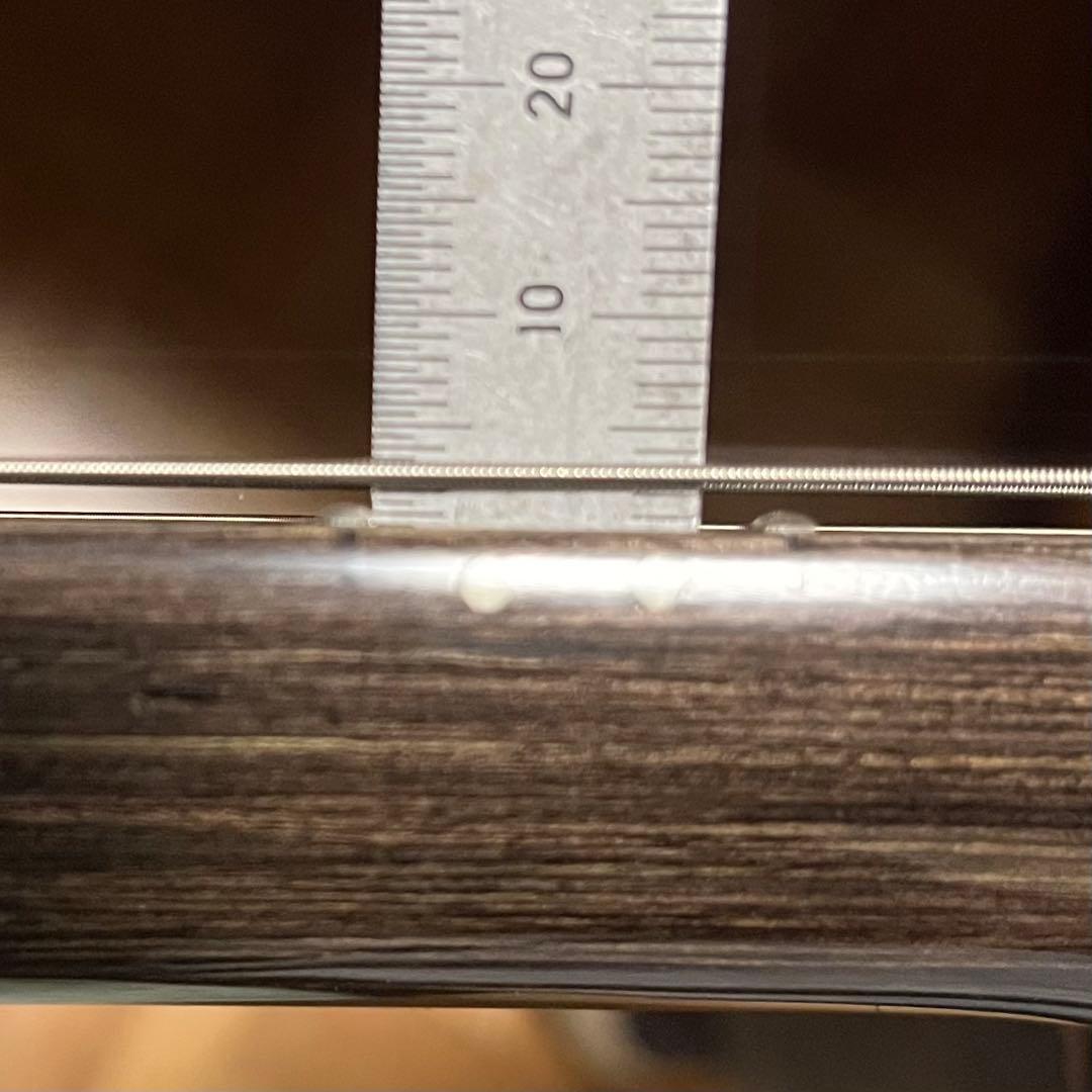 【中古送料込】Bacchus BTE-TWオールローズ風フルメンテ・カスタム