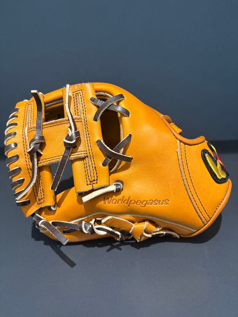 ワールドペガサス トレーニンググローブ トクサンモデル 左投げ用