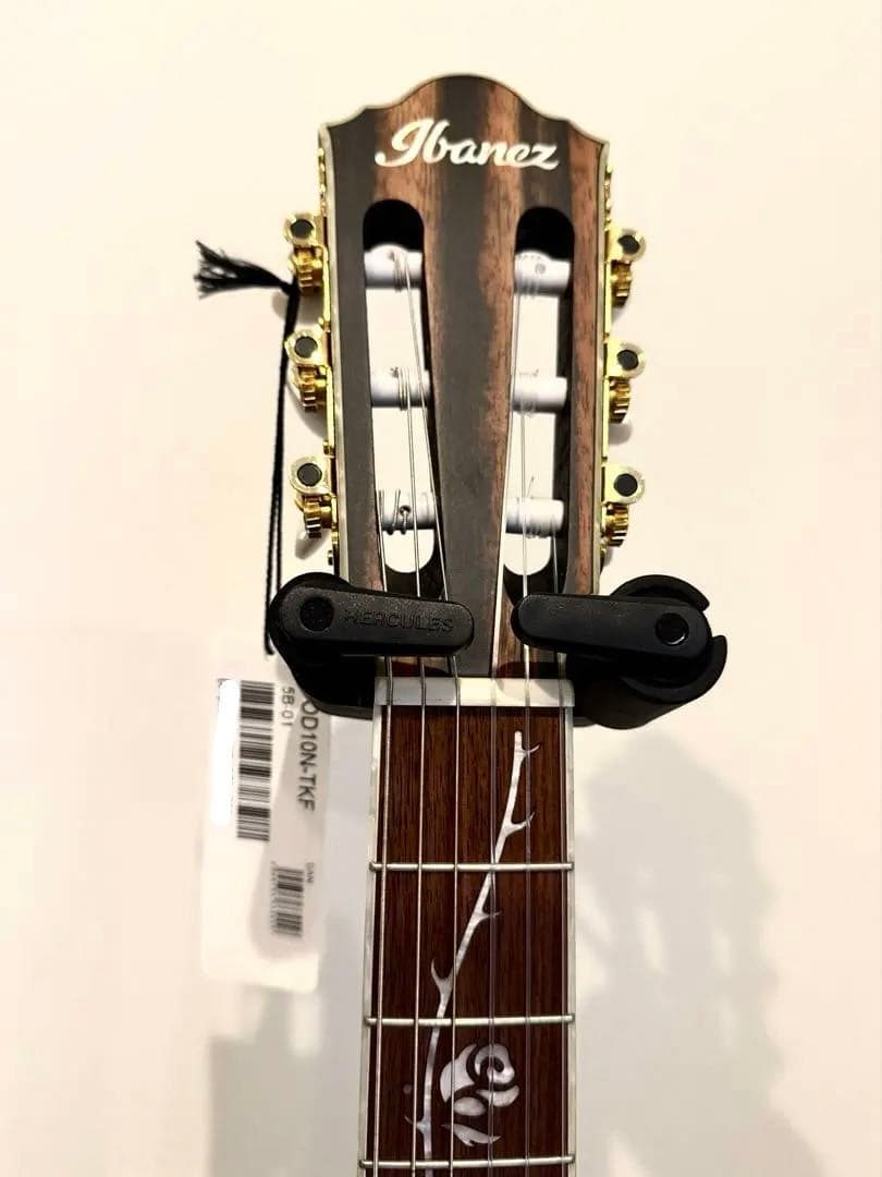 Ibanez TOD10N TKF エレガット Tim Henson
