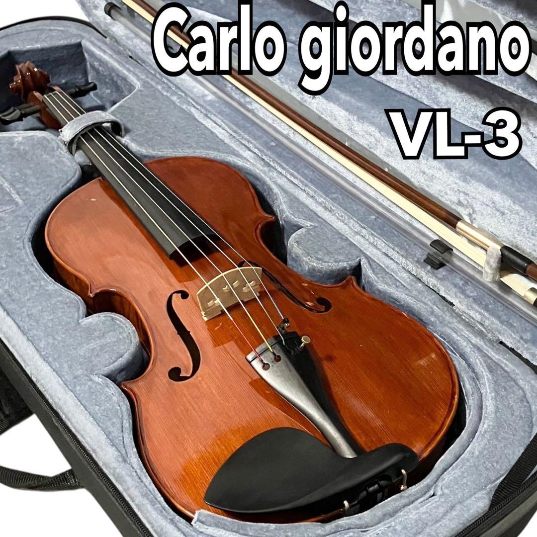 カルロジョルダーノ ビオラ VL-3 弦楽器 ケース付 ヴィオラ オーケストラ