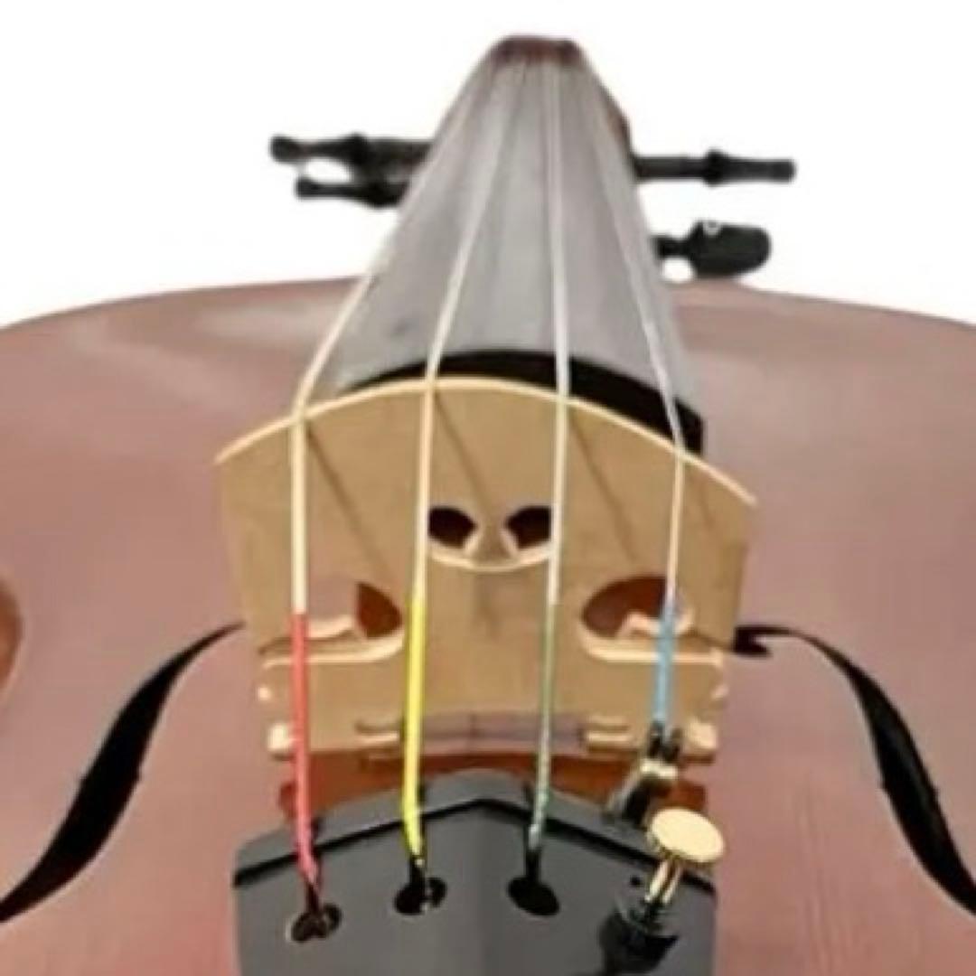 カルロジョルダーノ ビオラ VL-3 弦楽器 ケース付 ヴィオラ オーケストラ