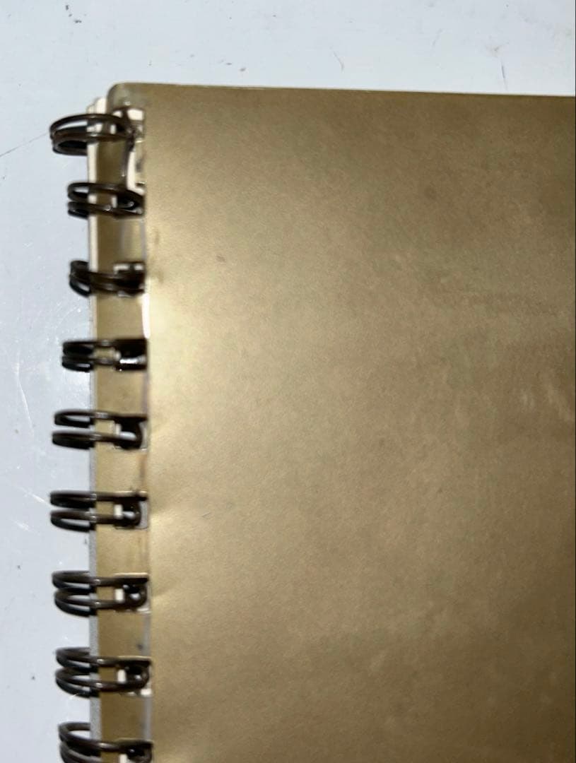 【ビンテージ】シャネル顧客限定配布品NOTES DE VOYAGE CHANEL