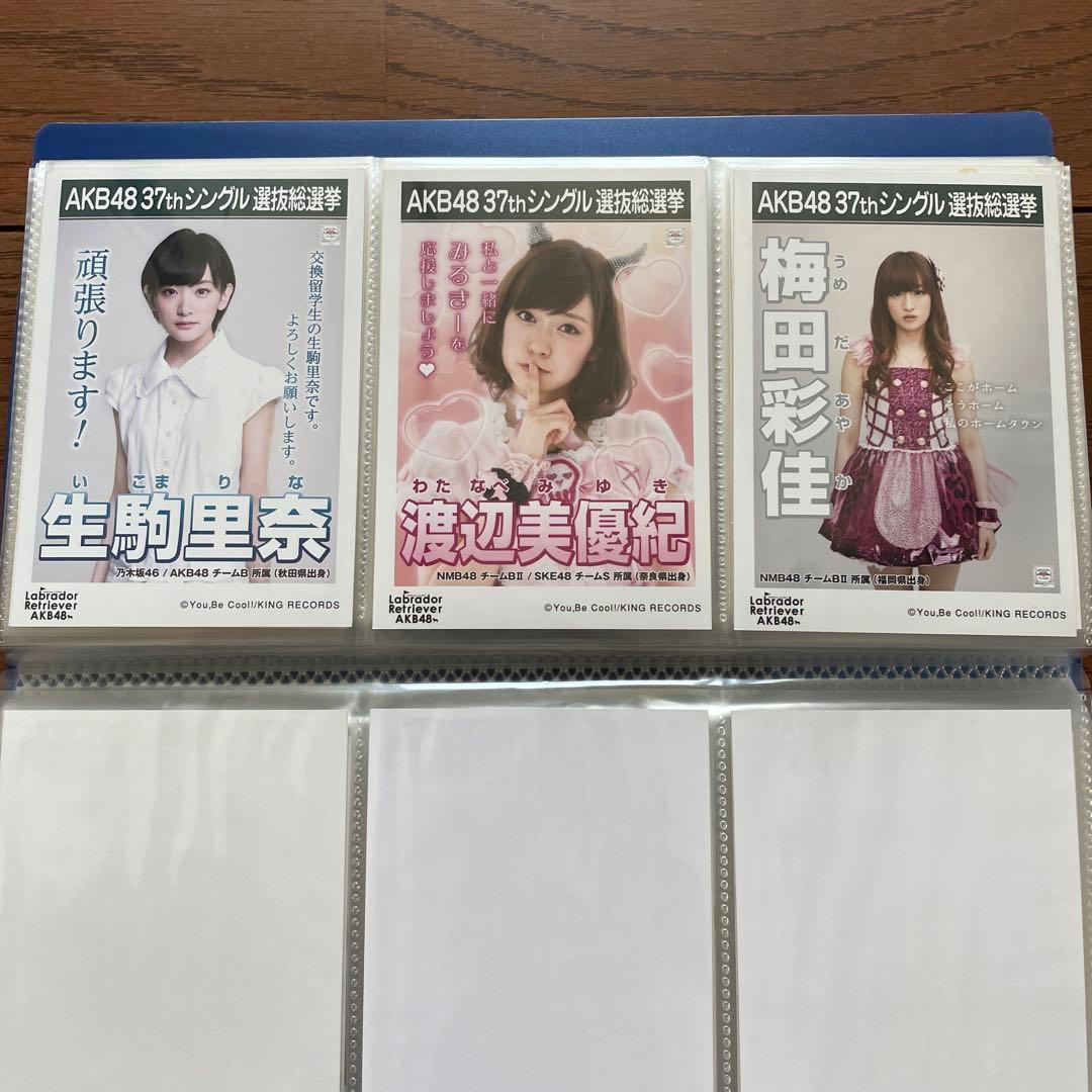 AKB ラブラドールレトリバー 劇場 生写真