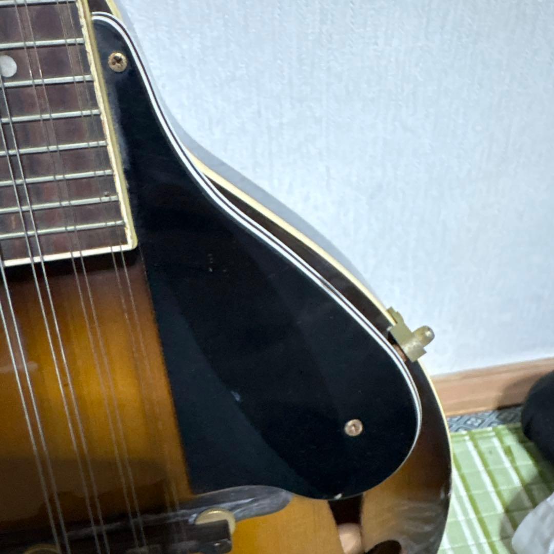 BlueBell ブルーベル フラット マンドリン ビンテージ　ギター　楽器