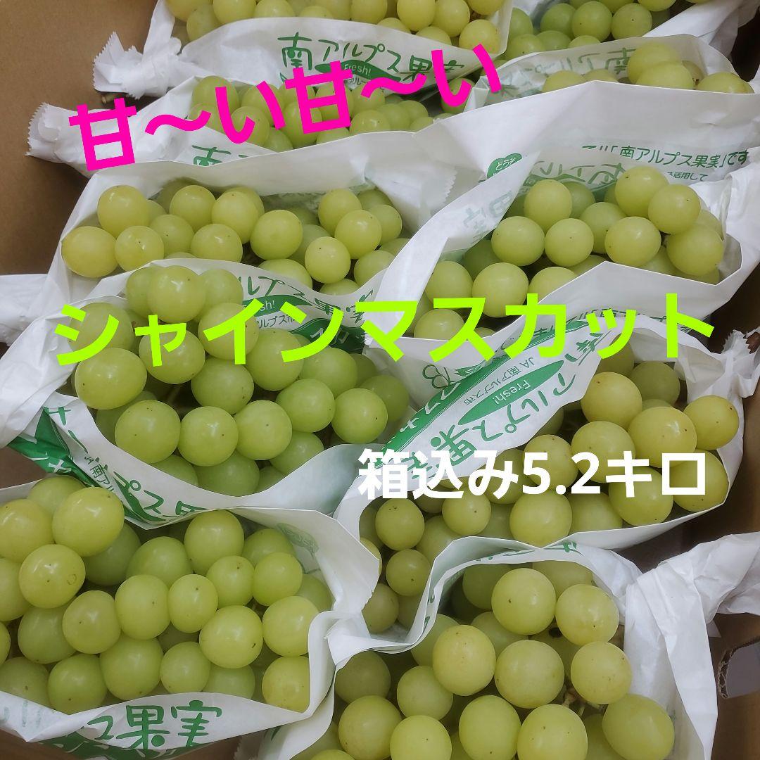 2️⃣ 山梨県産 シャインマスカット １１房入り 箱込み5.2キロ