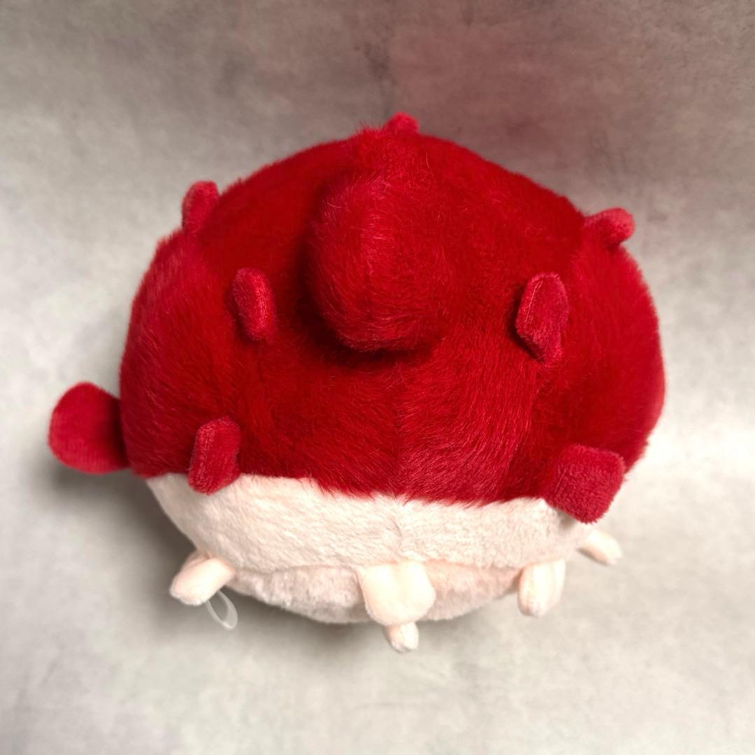 恋と深空 2024年VIPギフトボックス 日本語版 ホムラ 3点セット