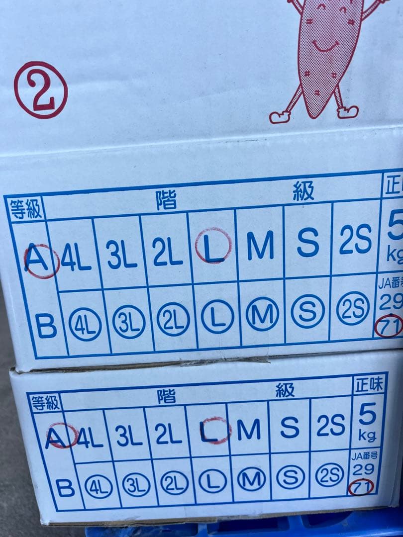 小さな小さな農家さん！大分県産　甘太くんA品Lサイズ　20キロ