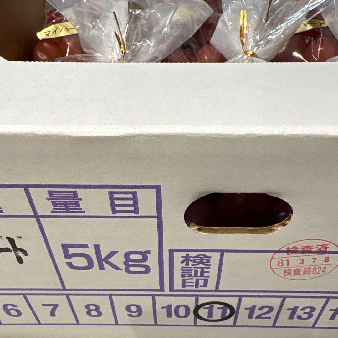 希少品種!! 「マイハート」 特秀 11房5キロ JAふくしま未来