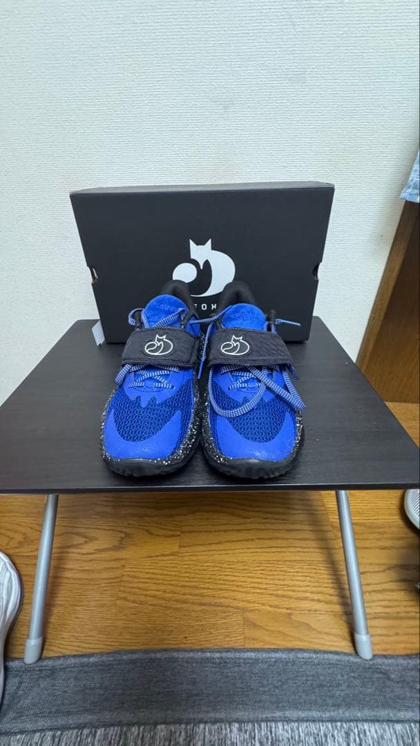 アンダーアーマーcurry FOX2