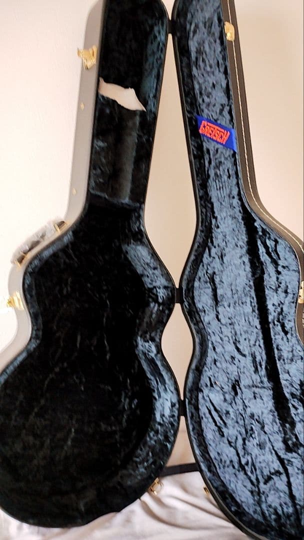 【リック】Gretsch G6119T-62 TennesseeRose