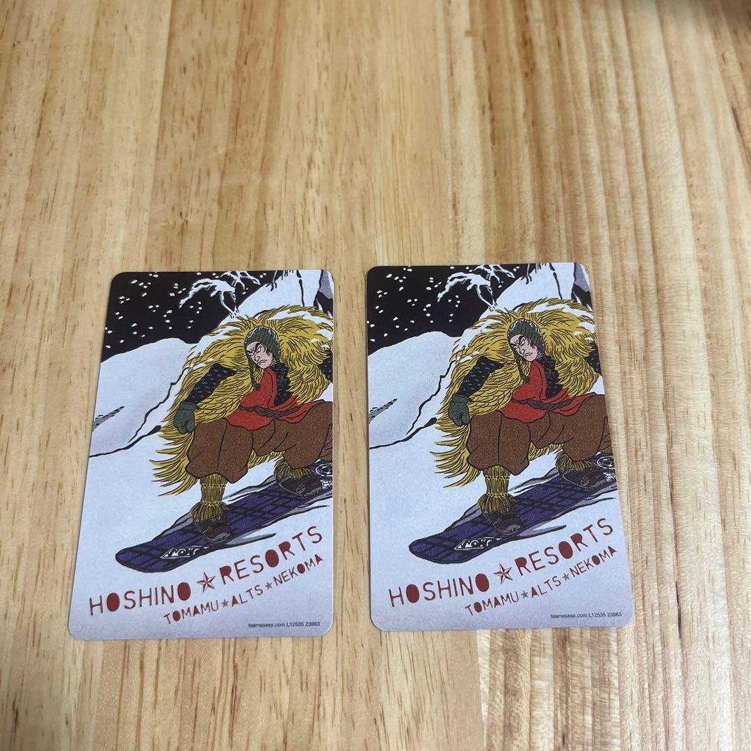 ネコママウンテン リフト券 2024-25シーズン　２枚組