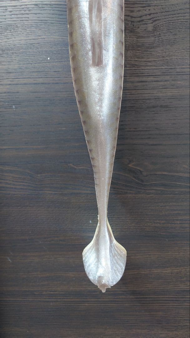 シグナル ウルトラカープ ver.2 キラーカープ 開封済 未使用 SIGNAL