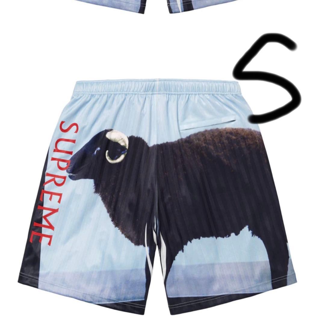 建*家様 Supreme Damien Hirst Soccer Short S