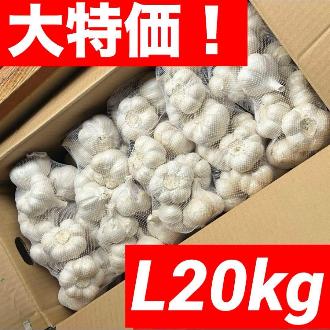 【大特価】青森県 福地ホワイト にんにく L 20kg 種にんにく 家庭用