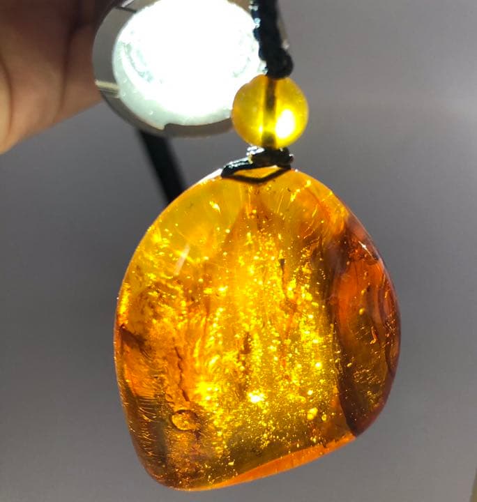 アンバー 琥珀 ユニーク 天然石 虫入り ネックレス 化石 宝石