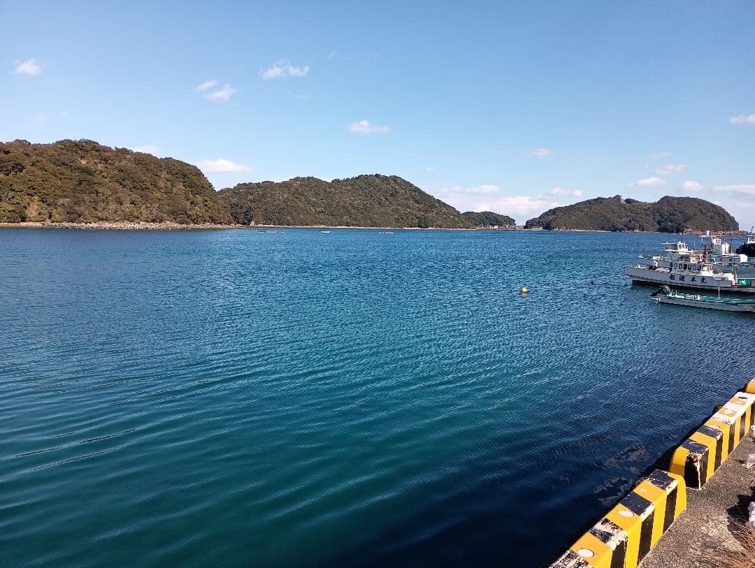 確認用稀少レア武士蟹平家怨霊リアル人面サムライガニ瀬戸内海産立体標本コレクション