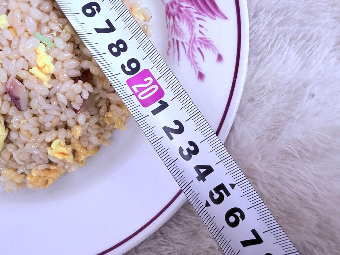 食品サンプル 炒飯 チャーハン 直径約23.5cmリアル中華料理 ディスプレイ用