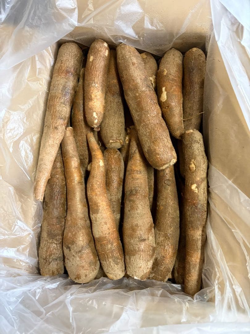 徳之島産キャッサバ生芋イエロー15キロ