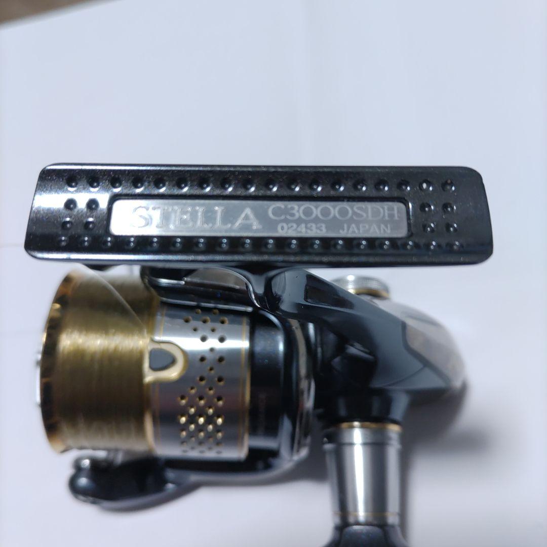 10ステラ　C3000SDH①