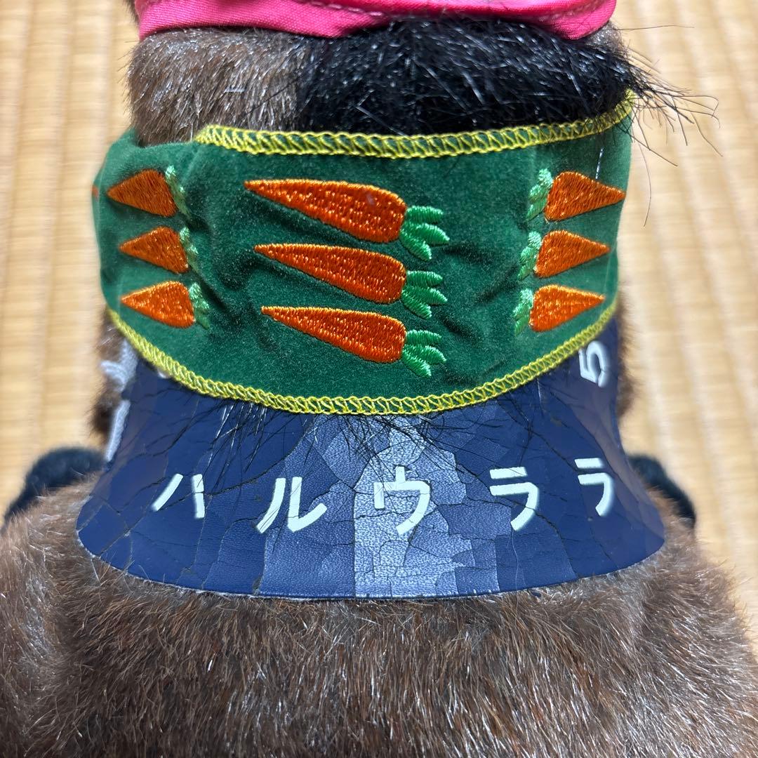 【希少・再値下げ】ハルウララ 馬ぬいぐるみ AVANTI