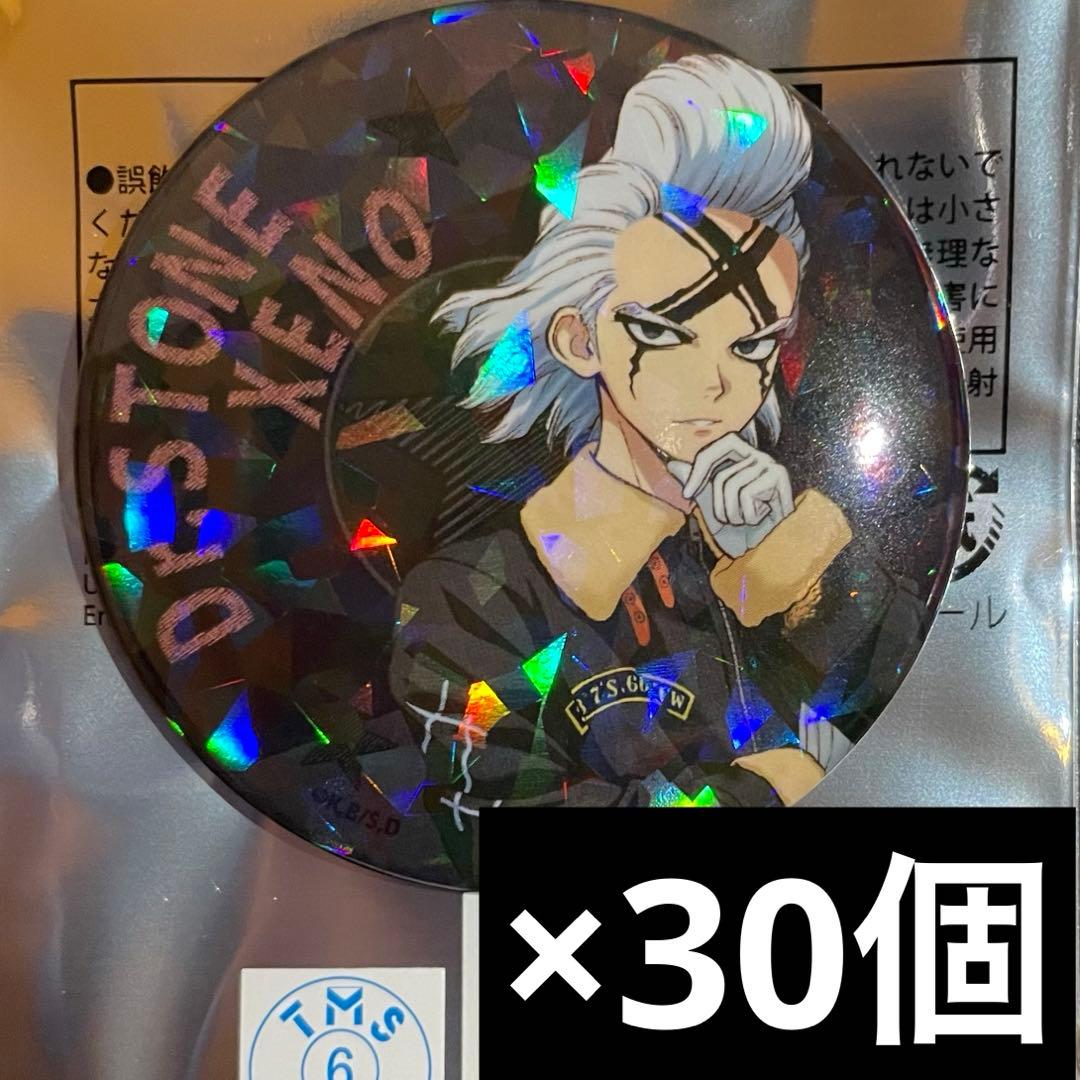dr.stone スキマストア フライトジャケット 缶バッジ 30個 ゼノ