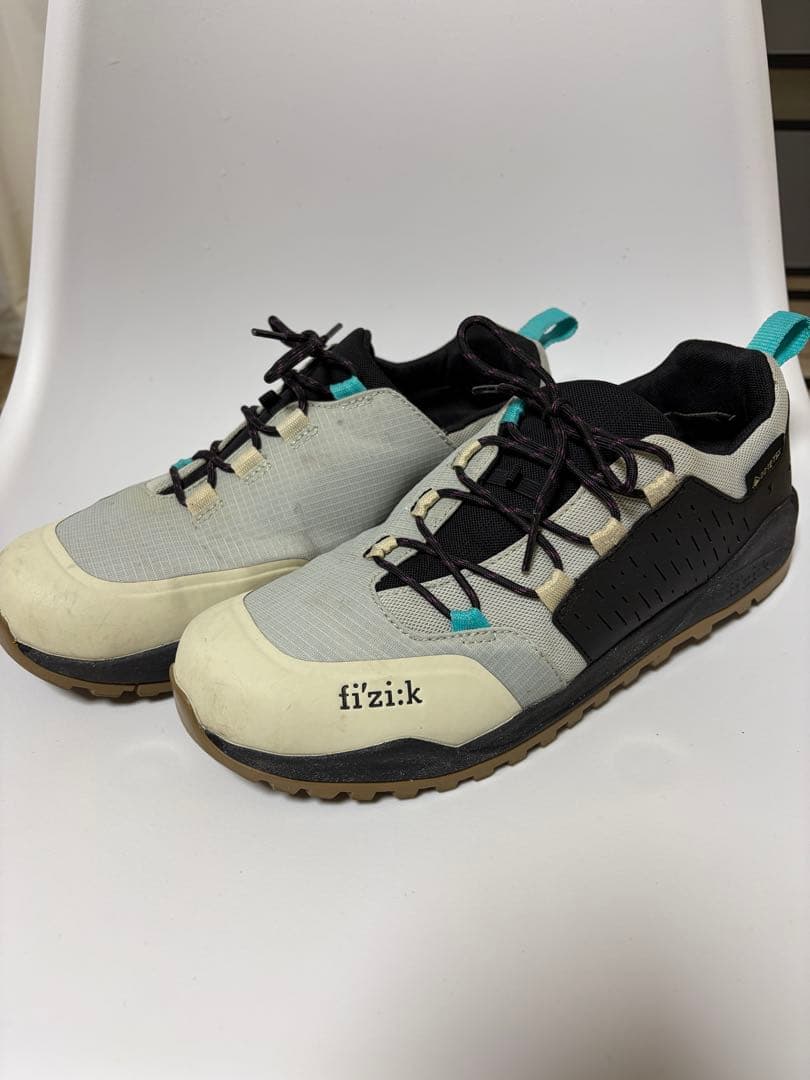 フィジーク　シューズ　サイズ43 ゴアテックス